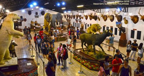Baluarte: A Zoo and Museum in Vigan City – .